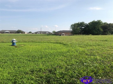 Drexler Circle, Elizabethtown, Kentucky 42701, ,For Sale,Drexler Circle,HK10051972