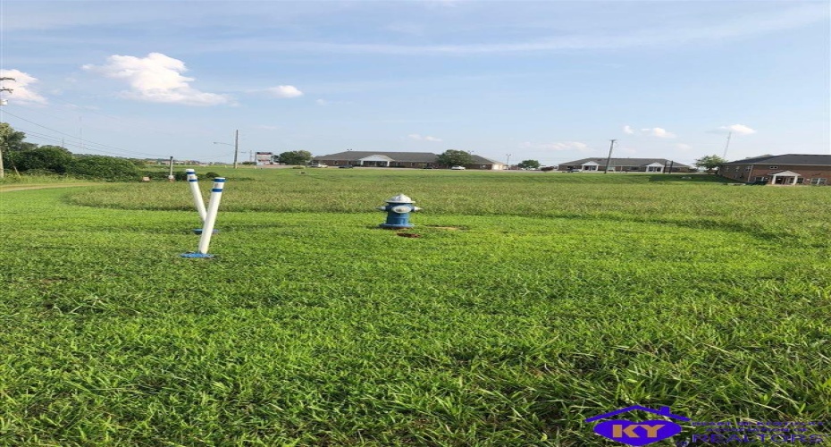 Drexler Circle, Elizabethtown, Kentucky 42701, ,For Sale,Drexler Circle,HK10051972