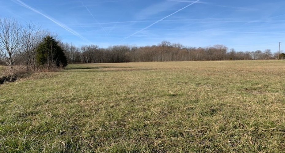 Blue Hole Road, Campbellsville, Kentucky 42718, ,For Sale,Blue Hole Road,HK10050886
