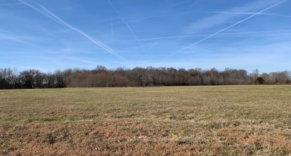 Blue Hole Road, Campbellsville, Kentucky 42718, ,For Sale,Blue Hole Road,HK10050886
