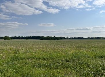 Highway 60, Harned, Kentucky 40144, ,For Sale,Highway 60,HK10051146