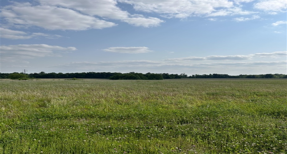 Highway 60, Harned, Kentucky 40144, ,For Sale,Highway 60,HK10051146