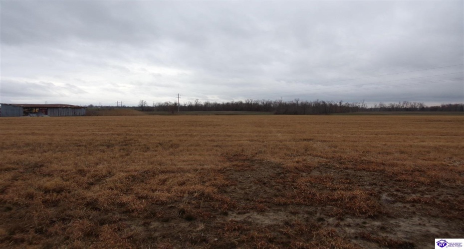 Highway 60, Harned, Kentucky 40144, ,For Sale,Highway 60,HK10051146