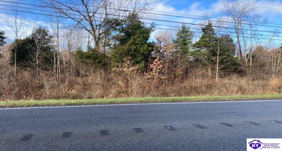 Dixie Highway, Elizabethtown, Kentucky 42701, ,For Sale,Dixie Highway,HK10059241