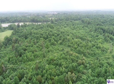 Dixie Highway, Elizabethtown, Kentucky 42701, ,For Sale,Dixie Highway,HK10059241