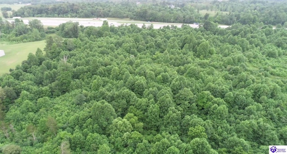 Dixie Highway, Elizabethtown, Kentucky 42701, ,For Sale,Dixie Highway,HK10059241