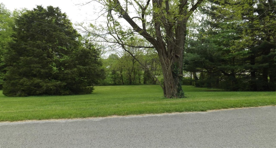 Shore Drive, Campbellsville, Kentucky 42718, ,For Sale,Shore Drive,HK10047920