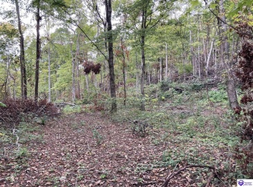 Boone Hollow Road, Battletown, Kentucky 40104, ,For Sale,Boone Hollow Road,HK10062564