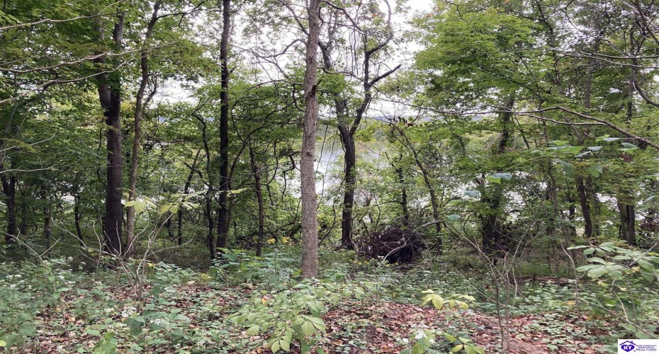 Boone Hollow Road, Battletown, Kentucky 40104, ,For Sale,Boone Hollow Road,HK10062564