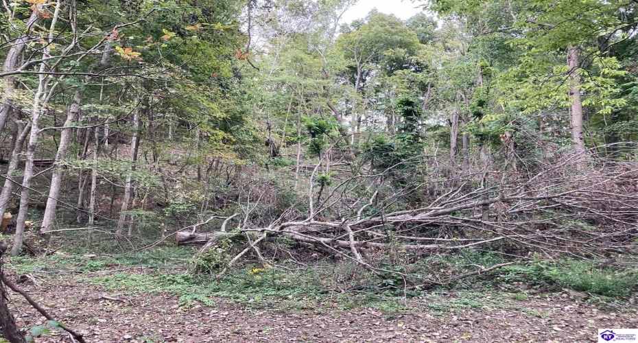 Boone Hollow Road, Battletown, Kentucky 40104, ,For Sale,Boone Hollow Road,HK10062564