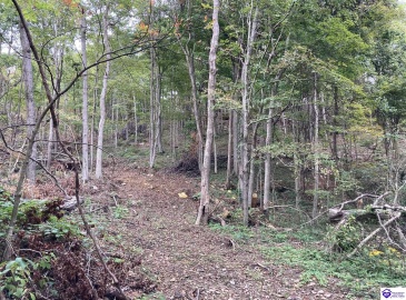 Boone Hollow Road, Battletown, Kentucky 40104, ,For Sale,Boone Hollow Road,HK10062564