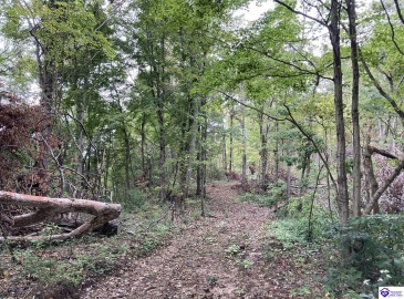 Boone Hollow Road, Battletown, Kentucky 40104, ,For Sale,Boone Hollow Road,HK10062564