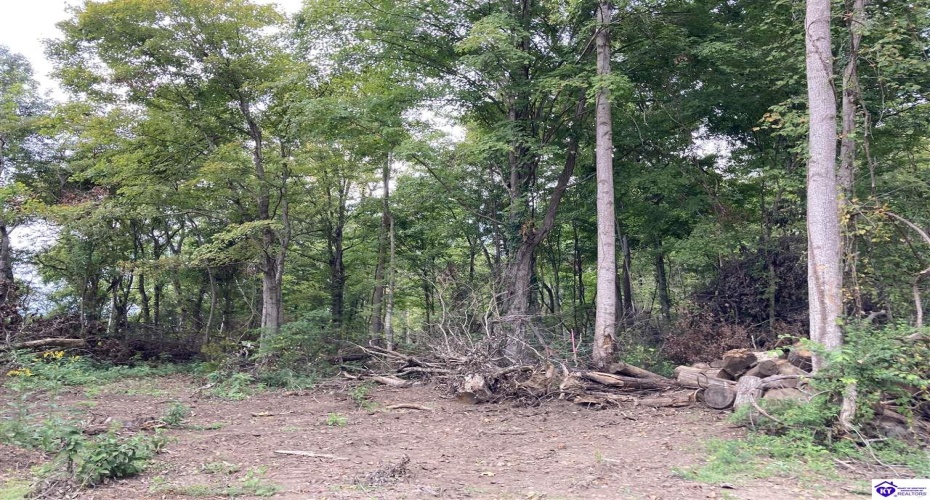 Boone Hollow Road, Battletown, Kentucky 40104, ,For Sale,Boone Hollow Road,HK10062564