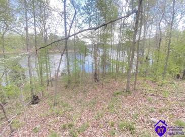 Cave Heights Drive, Falls Of Rough, Kentucky 40119, ,For Sale,Cave Heights Drive,HK10056630