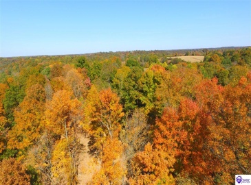 Boone Hollow Road, Battletown, Kentucky 40104, ,For Sale,Boone Hollow Road,HK10062953