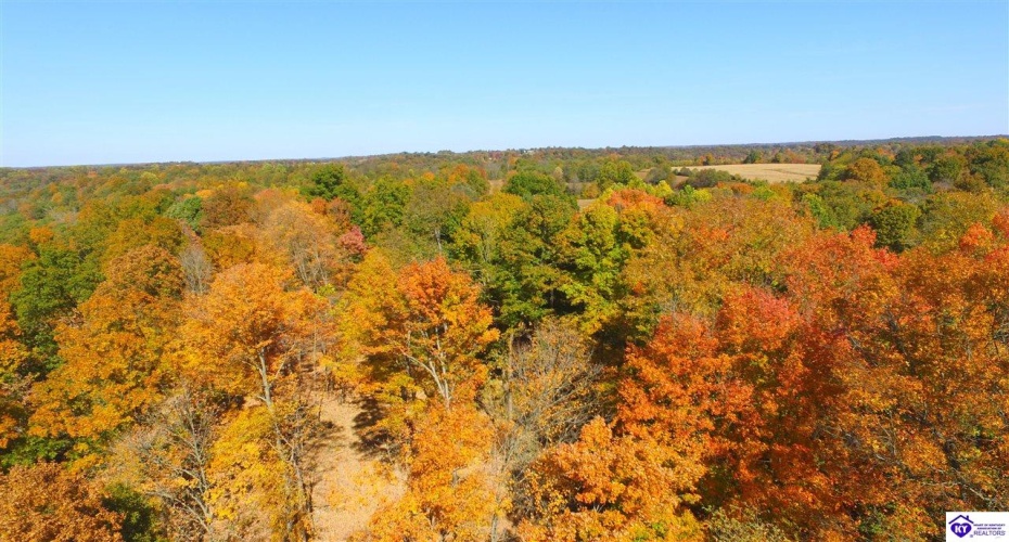 Boone Hollow Road, Battletown, Kentucky 40104, ,For Sale,Boone Hollow Road,HK10062953