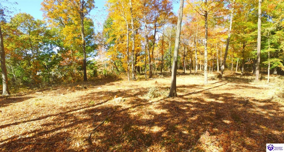 Boone Hollow Road, Battletown, Kentucky 40104, ,For Sale,Boone Hollow Road,HK10062953