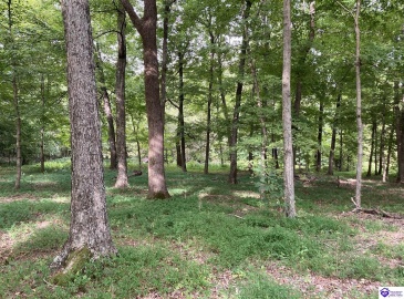 Boone Hollow Road, Battletown, Kentucky 40104, ,For Sale,Boone Hollow Road,HK10062953