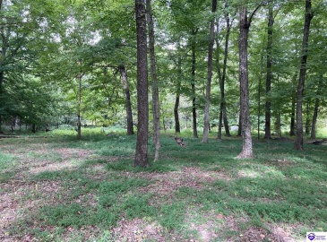 Boone Hollow Road, Battletown, Kentucky 40104, ,For Sale,Boone Hollow Road,HK10062953