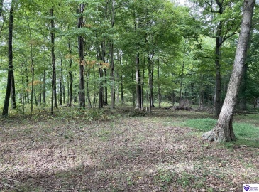 Boone Hollow Road, Battletown, Kentucky 40104, ,For Sale,Boone Hollow Road,HK10062953