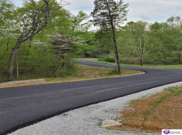 Shady Oaks Court, Radcliff, Kentucky 40160, ,For Sale,Shady Oaks Court,HK10060440