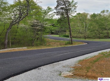 Shady Oaks Court, Radcliff, Kentucky 40160, ,For Sale,Shady Oaks Court,HK10060440