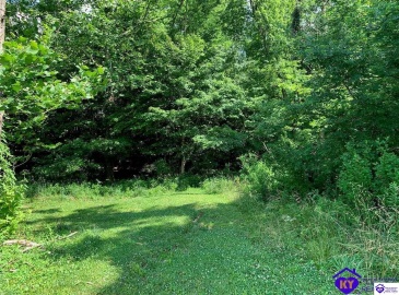 Neptune Drive, Radcliff, Kentucky 40160, ,For Sale,Neptune Drive,HK23000433