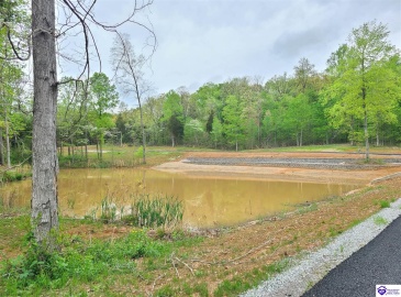 Secluded Circle, Radcliff, Kentucky 40160, ,For Sale,Secluded Circle,HK10060450