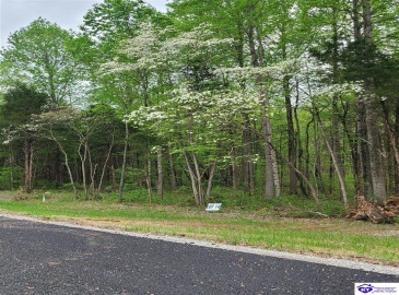 Secluded Circle, Radcliff, Kentucky 40160, ,For Sale,Secluded Circle,HK10060451