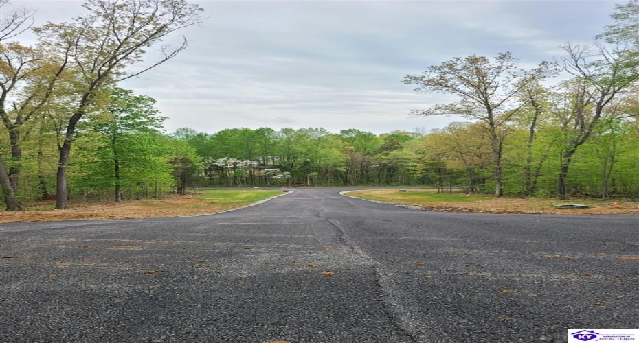 Secluded Circle, Radcliff, Kentucky 40160, ,For Sale,Secluded Circle,HK10060451 Secluded Circle, Radcliff, Kentucky 40160, ,For Sale,Secluded Circle,HK10060451