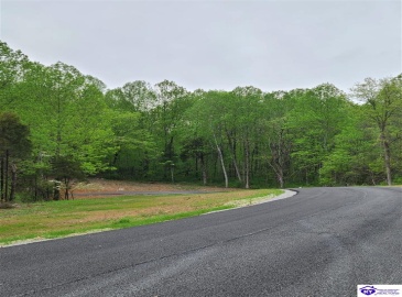 Secluded Circle, Radcliff, Kentucky 40160, ,For Sale,Secluded Circle,HK10060451