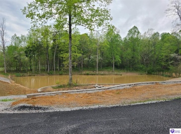 Secluded Circle, Radcliff, Kentucky 40160, ,For Sale,Secluded Circle,HK10060452