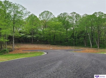 Secluded Circle, Radcliff, Kentucky 40160, ,For Sale,Secluded Circle,HK10060452