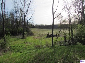 New Glendale Road, Elizabethtown, Kentucky 42701-1012, ,For Sale,New Glendale Road,HK10060455