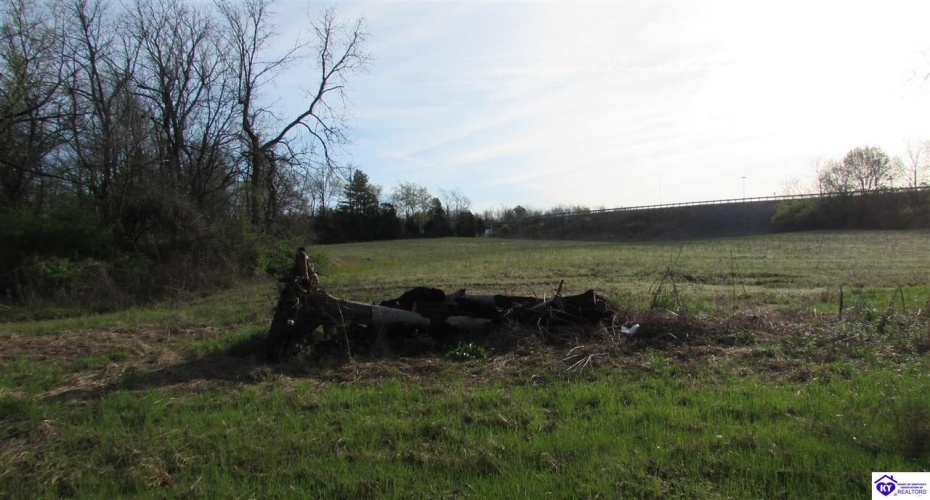 New Glendale Road, Elizabethtown, Kentucky 42701-1012, ,For Sale,New Glendale Road,HK10060455