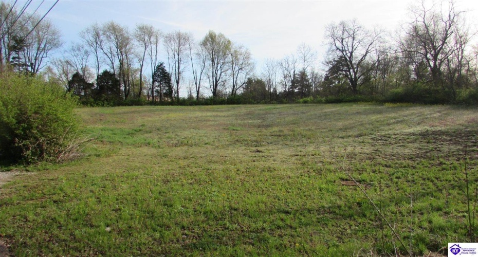 New Glendale Road, Elizabethtown, Kentucky 42701-1012, ,For Sale,New Glendale Road,HK10060455