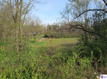 New Glendale Road, Elizabethtown, Kentucky 42701-1012, ,For Sale,New Glendale Road,HK10060455